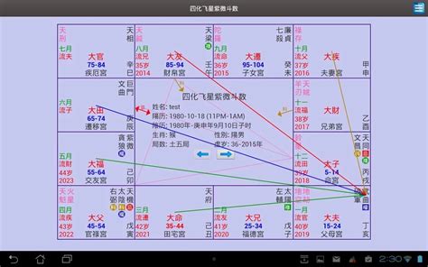 四化飛星怎麼看